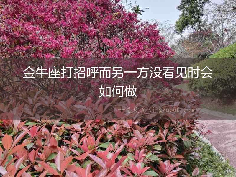 金牛座打招呼而另一方?jīng)]看見時(shí)會(huì)如何做