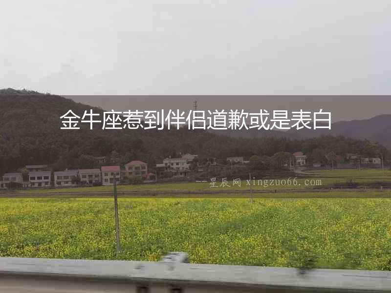 金牛座惹到伴侶道歉或是表白
