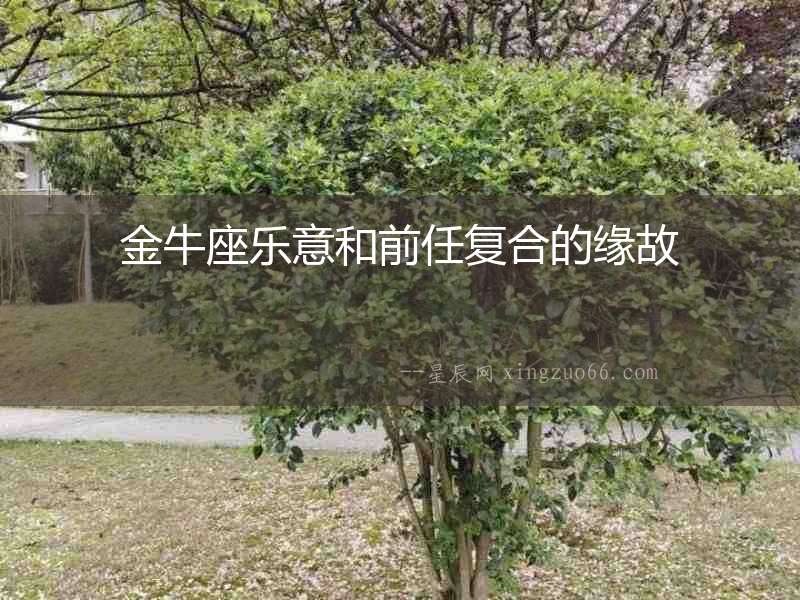 金牛座樂(lè)意和前任復(fù)合的緣故