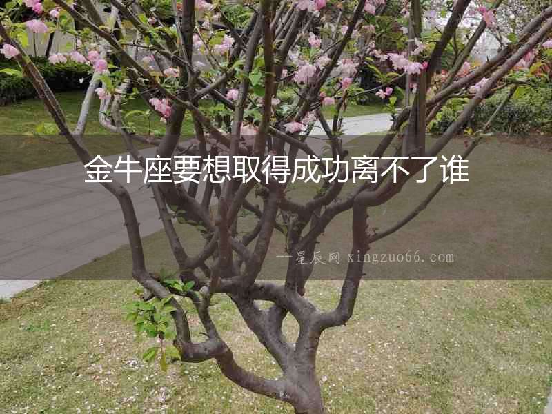 金牛座要想取得成功離不了誰(shuí)