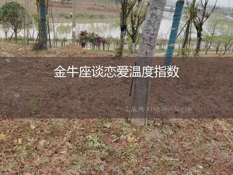 金牛座談戀愛溫度指數