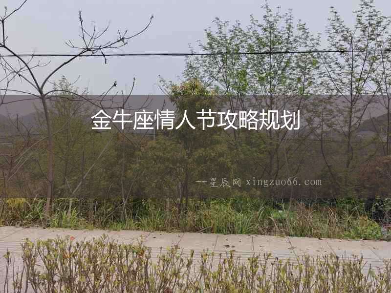 金牛座情人節攻略規劃