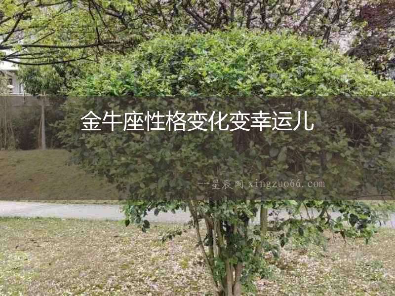 金牛座性格變化變幸運兒