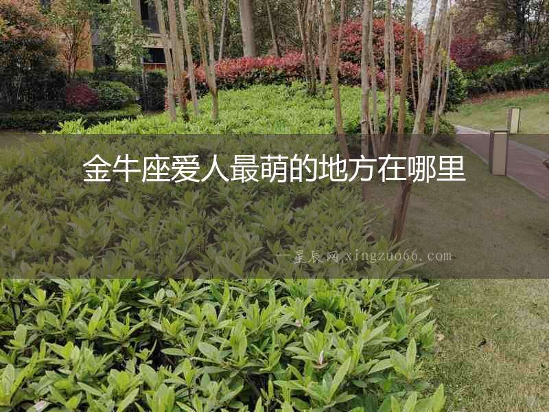 金牛座愛人最萌的地方在哪里