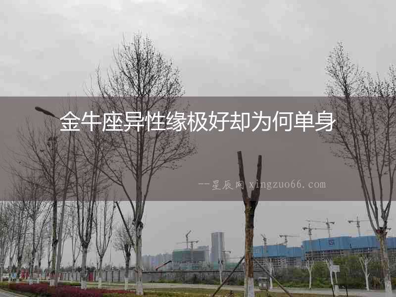 金牛座異性緣極好卻為何單身