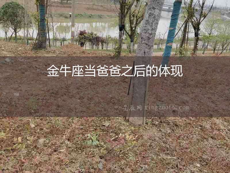 金牛座當爸爸之后的體現
