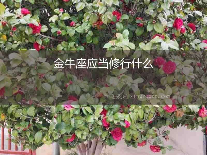 金牛座應當修行什么