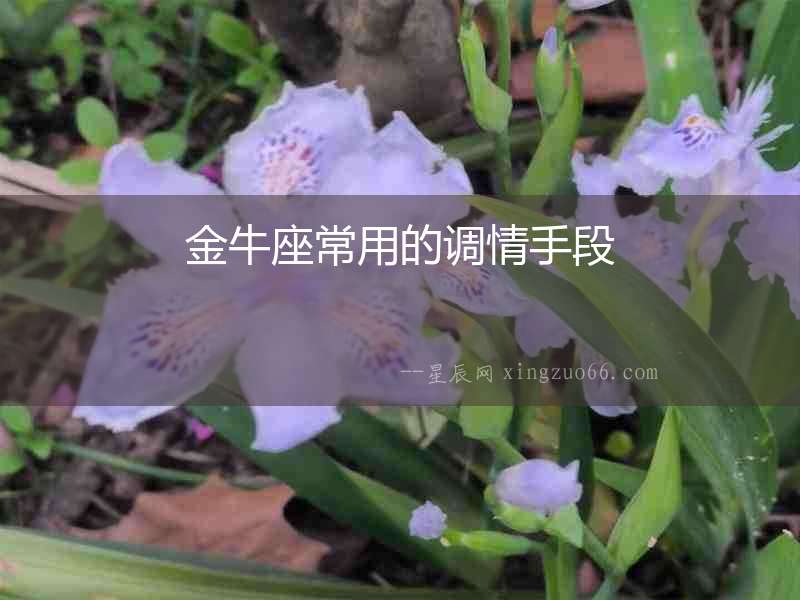 金牛座常用的調(diào)情手段