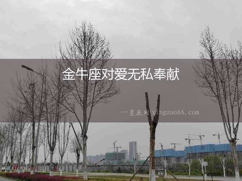 金牛座對愛無私奉獻