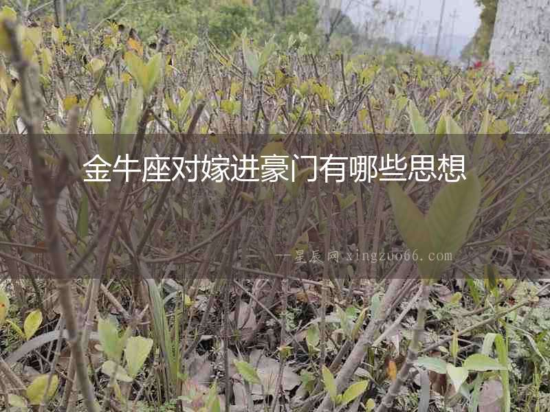 金牛座對(duì)嫁進(jìn)豪門有哪些思想