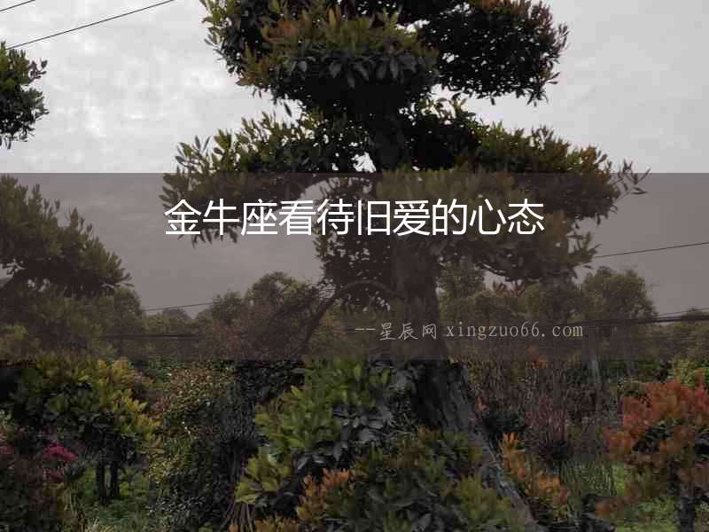 金牛座看待舊愛(ài)的心態(tài)