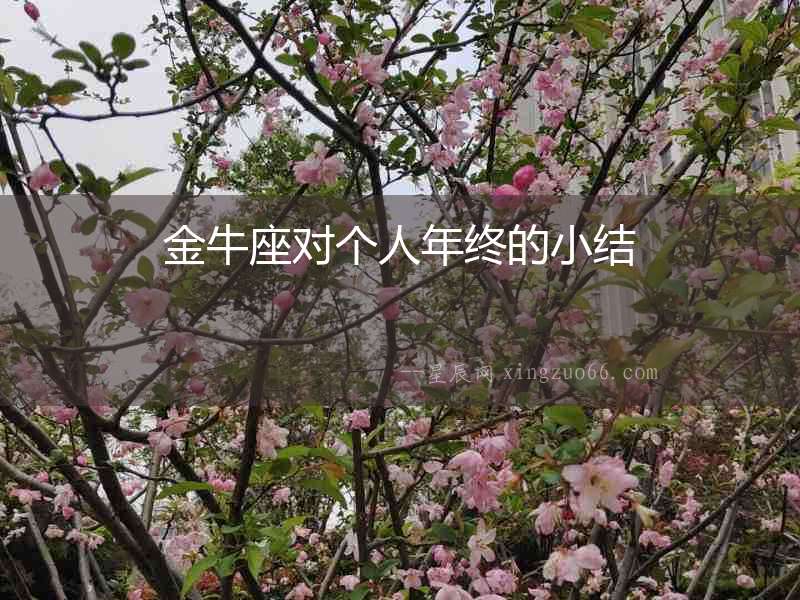 金牛座對個人年終的小結