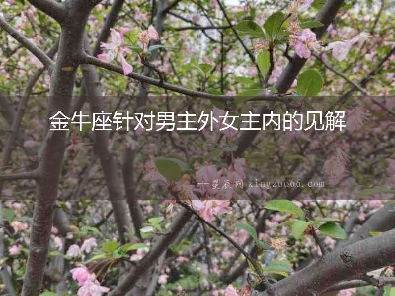 金牛座針對男主外女主內的見解