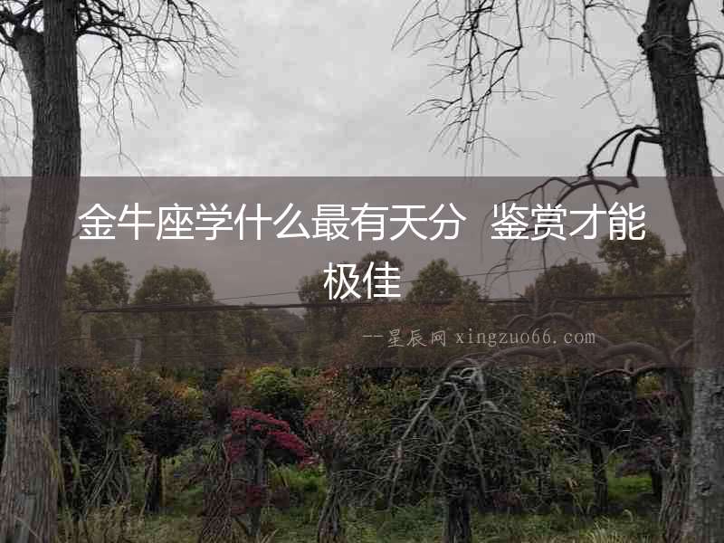 金牛座學(xué)什么最有天分  鑒賞才能極佳