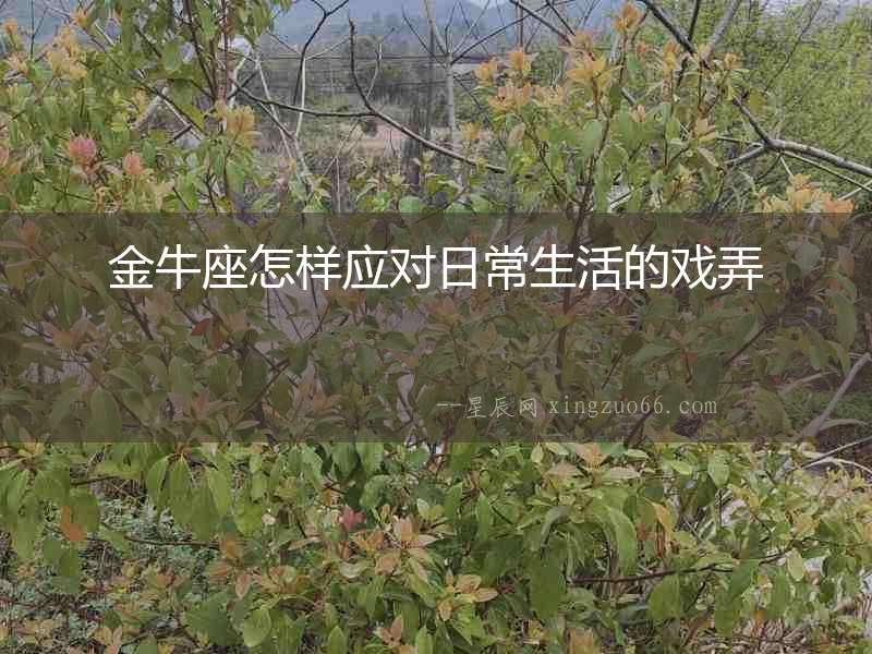 金牛座怎樣應對日常生活的戲弄