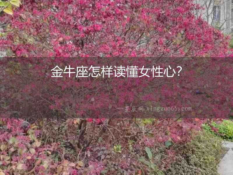 金牛座怎樣讀懂女性心？