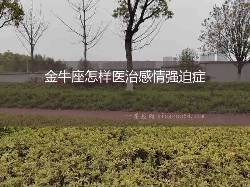 金牛座怎樣醫(yī)治感情強(qiáng)迫癥