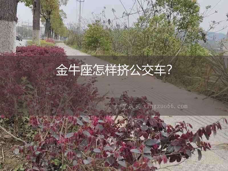 金牛座怎樣擠公交車？