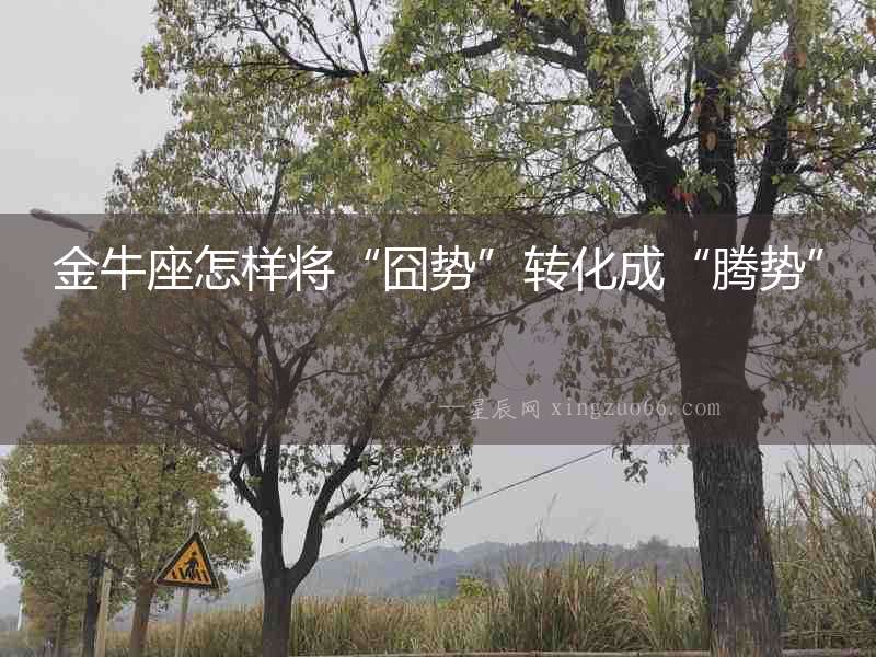 金牛座怎樣將“囧勢(shì)”轉(zhuǎn)化成“騰勢(shì)”