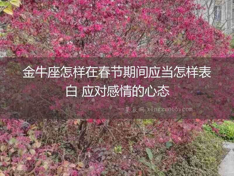 金牛座怎樣在春節(jié)期間應(yīng)當(dāng)怎樣表白 應(yīng)對感情的心態(tài)