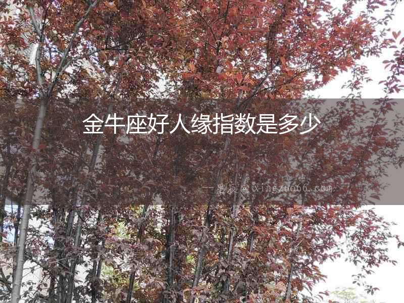 金牛座好人緣指數是多少