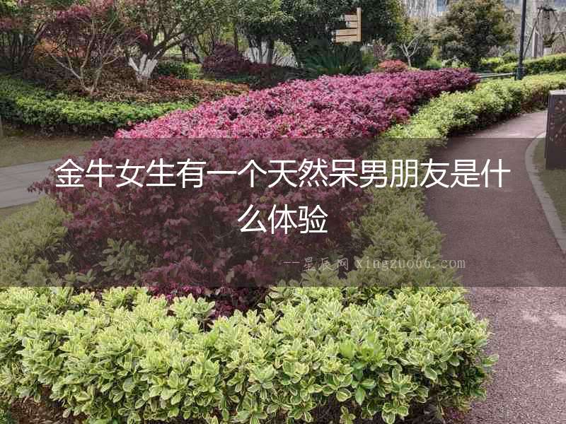 金牛女生有一個(gè)天然呆男朋友是什么體驗(yàn)