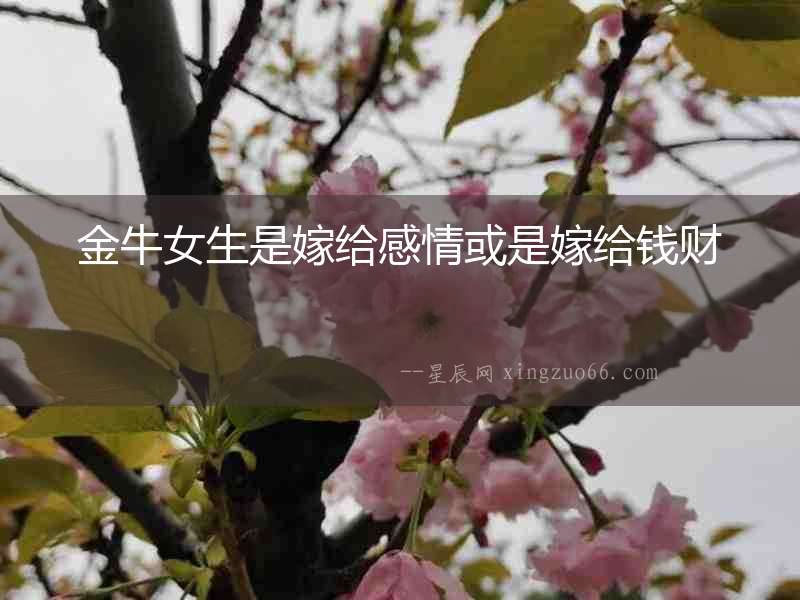 金牛女生是嫁給感情或是嫁給錢財(cái)