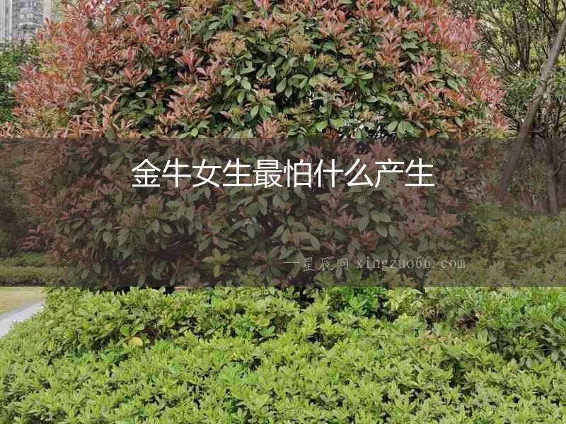 金牛女生最怕什么產生