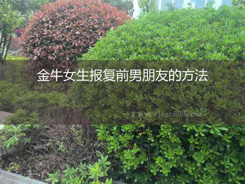 金牛女生報復前男朋友的方法