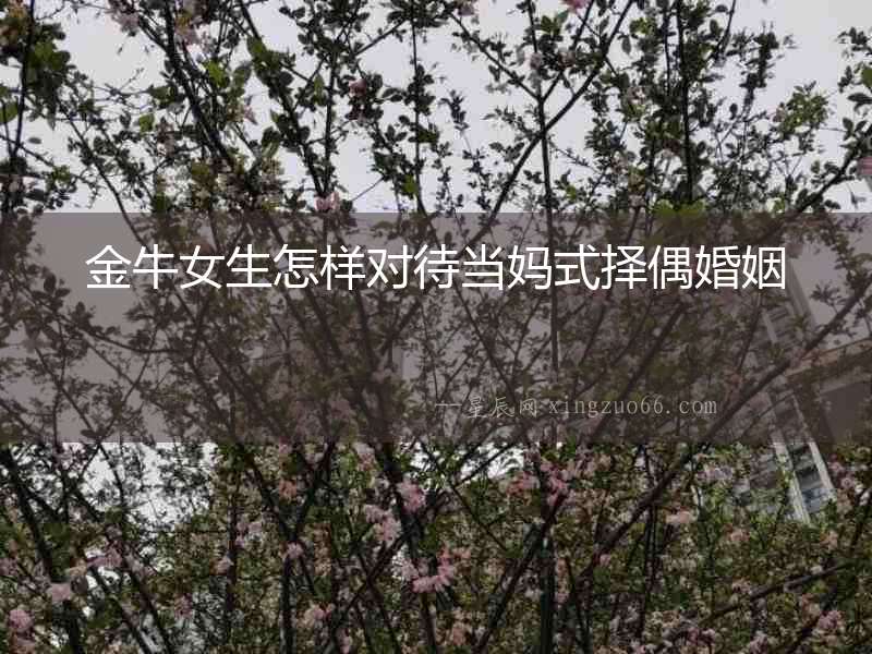 金牛女生怎樣對待當(dāng)媽式擇偶婚姻