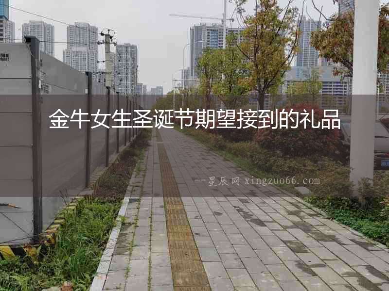 金牛女生圣誕節期望接到的禮品