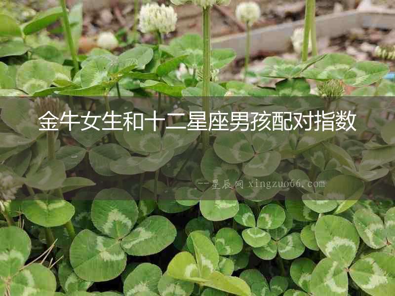 金牛女生和十二星座男孩配對(duì)指數(shù)