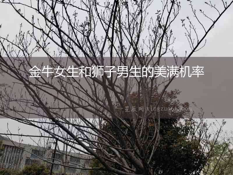 金牛女生和獅子男生的美滿機(jī)率