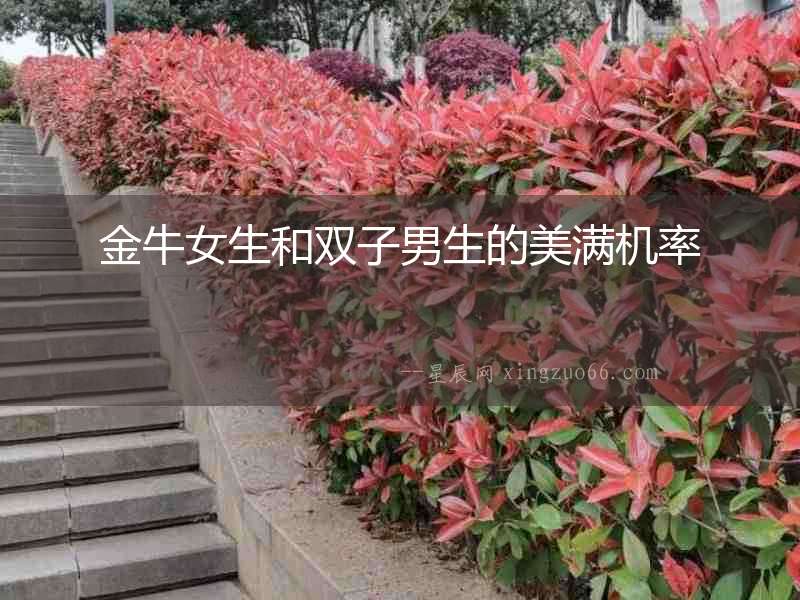 金牛女生和雙子男生的美滿機率