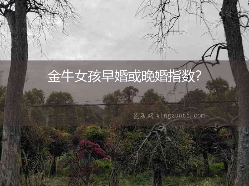 金牛女孩早婚或晚婚指數？