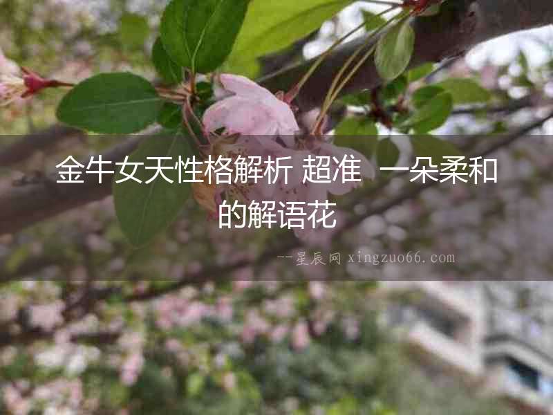 金牛女天性格解析 超準(zhǔn)  一朵柔和的解語花