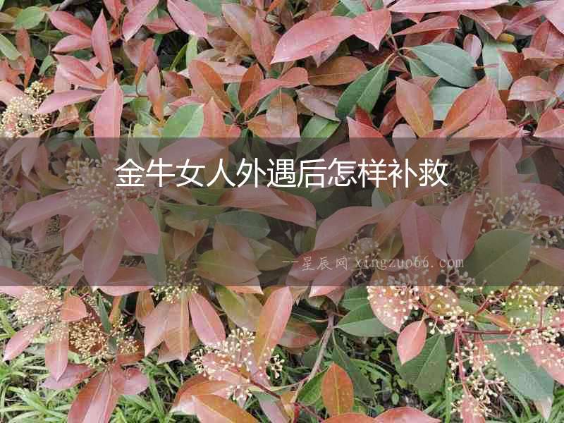 金牛女人外遇后怎樣補救