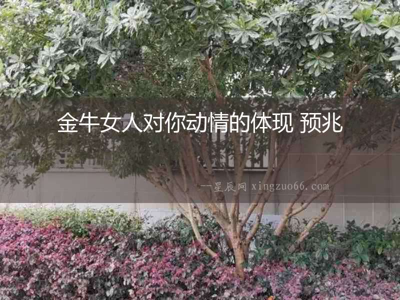金牛女人對你動情的體現(xiàn) 預(yù)兆