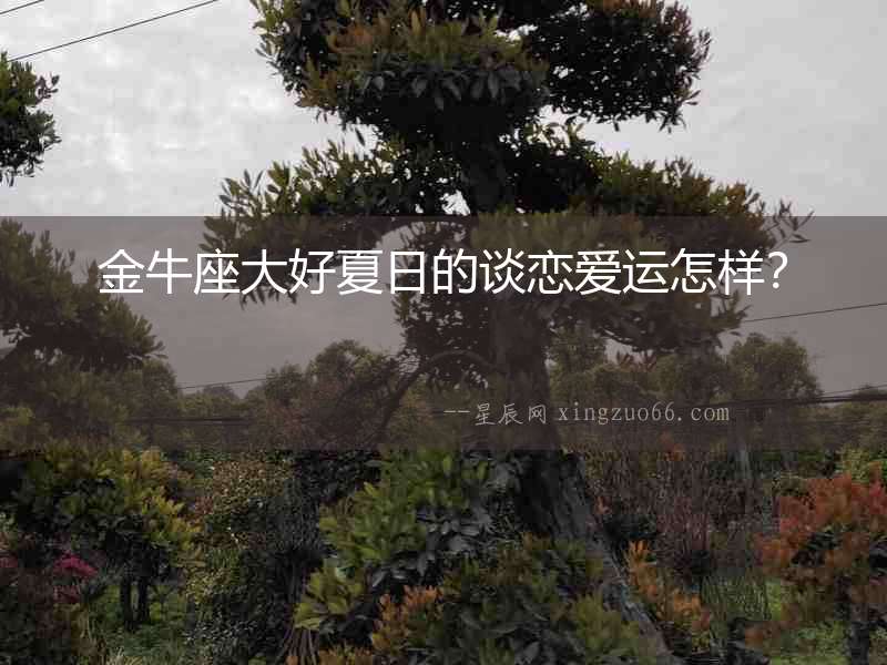 金牛座大好夏日的談戀愛運怎樣？