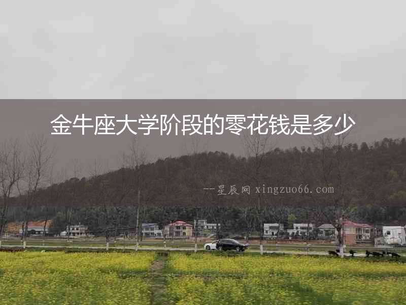 金牛座大學階段的零花錢是多少
