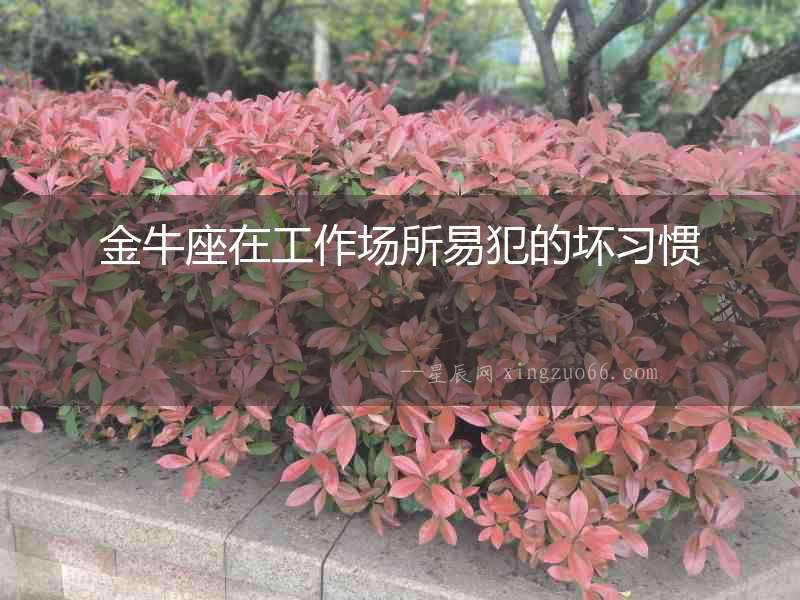 金牛座在工作場(chǎng)所易犯的壞習(xí)慣