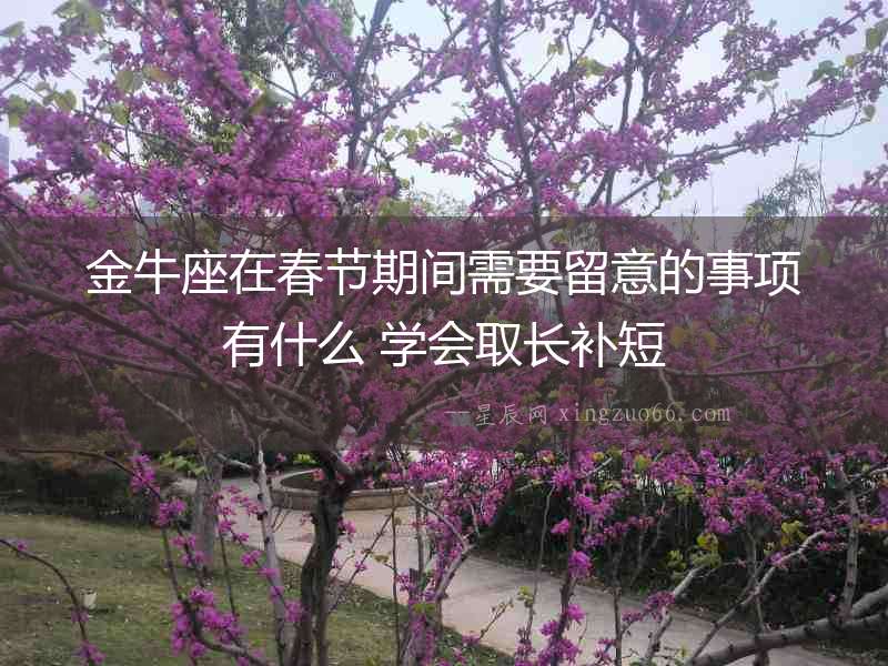 金牛座在春節(jié)期間需要留意的事項(xiàng)有什么 學(xué)會(huì)取長補(bǔ)短