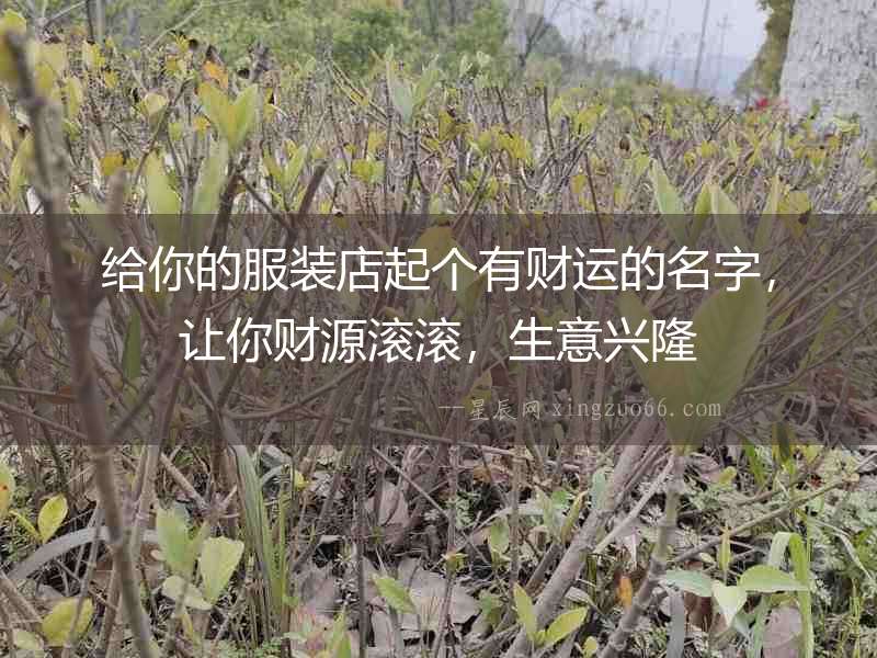 給你的服裝店起個有財運的名字，讓你財源滾滾，生意興隆