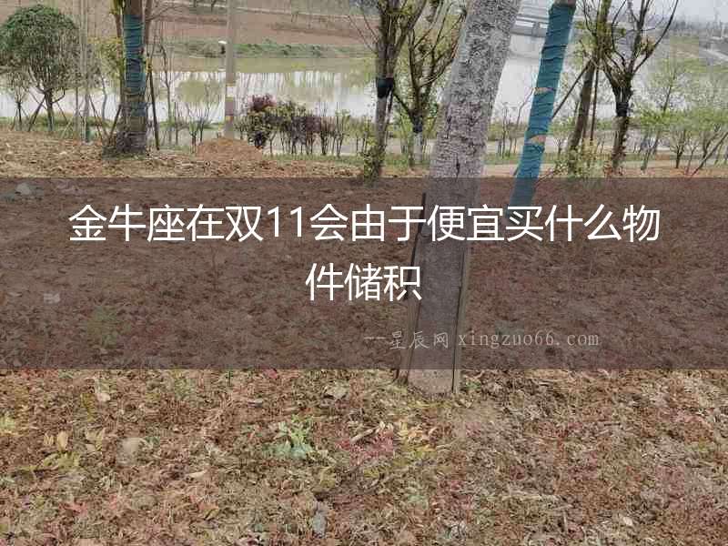 金牛座在雙11會(huì)由于便宜買(mǎi)什么物件儲(chǔ)積