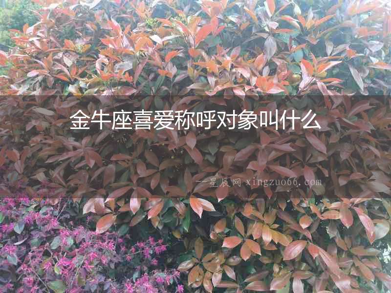 金牛座喜愛稱呼對(duì)象叫什么