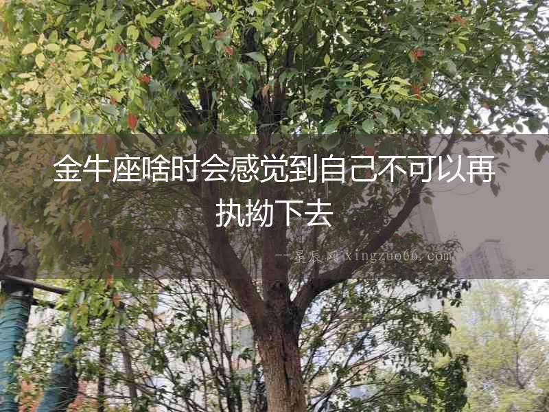 金牛座啥時會感覺到自己不可以再執拗下去