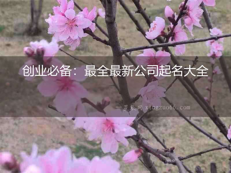 創(chuàng)業(yè)必備：最全最新公司起名大全