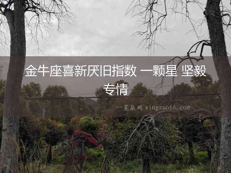 金牛座喜新厭舊指數 一顆星 堅毅專情