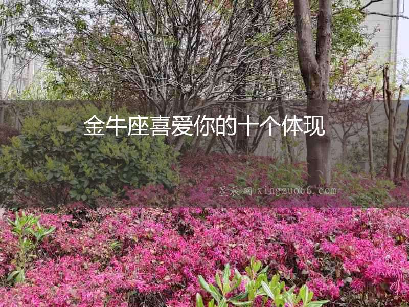 金牛座喜愛你的十個體現(xiàn)