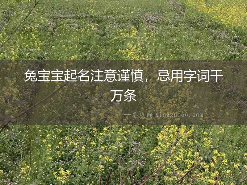 兔寶寶起名注意謹慎，忌用字詞千萬條